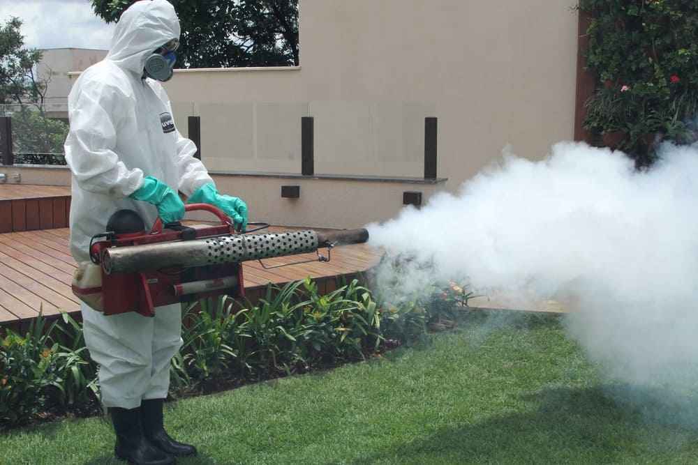 Pesquisa nacional pretende desenvolver vacina contra a dengue