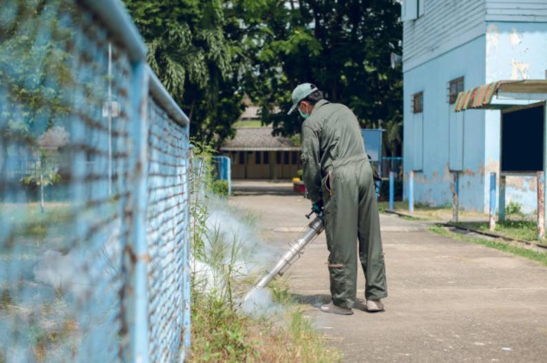 Dedetização de Mosquitos para Controle da Dengue como Funciona o Serviço? | BH | Minas Gerais