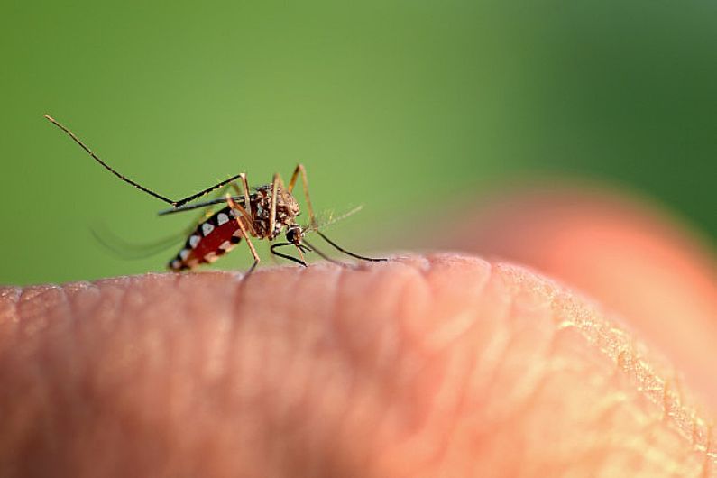 Minas já resgistra 121 mil casos de dengue em 2015