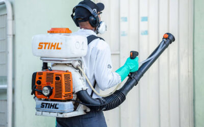 Principais pragas urbanas que mais afetam empresas: saiba como prevenir